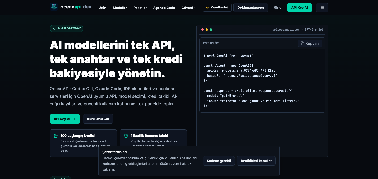 OceanAPI homepage preview